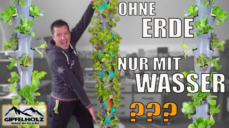 Edelstahlsäulen für den Innenbereich: Kaufguide und Tipps