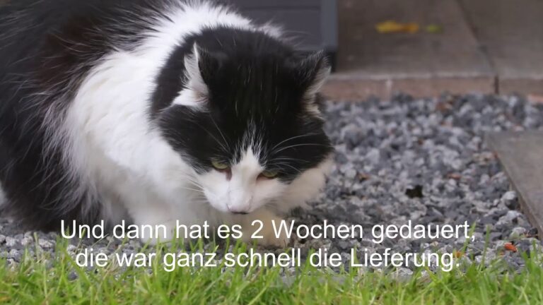 Kundenfeedback zu Edelstahlprodukten: Erkenntnisse und Trends