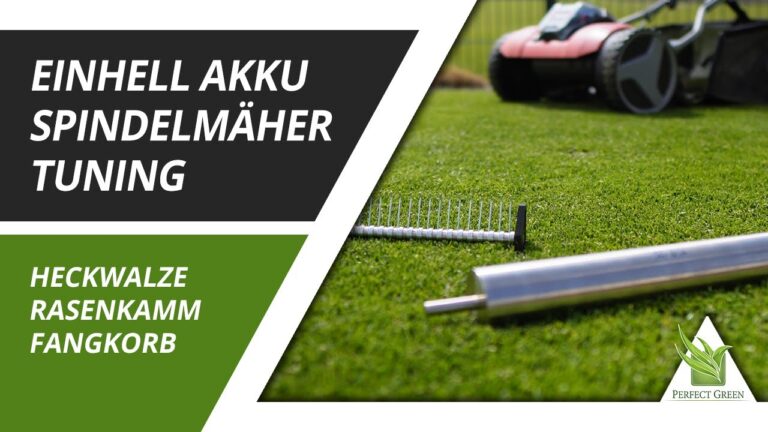 Edelstahlrollen mit Blitzlieferung